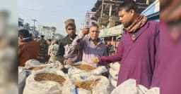 চাল আমদানির খবরে ধানের দামে ধ্বস, ঋণ শোধে হিমশিম কৃষক