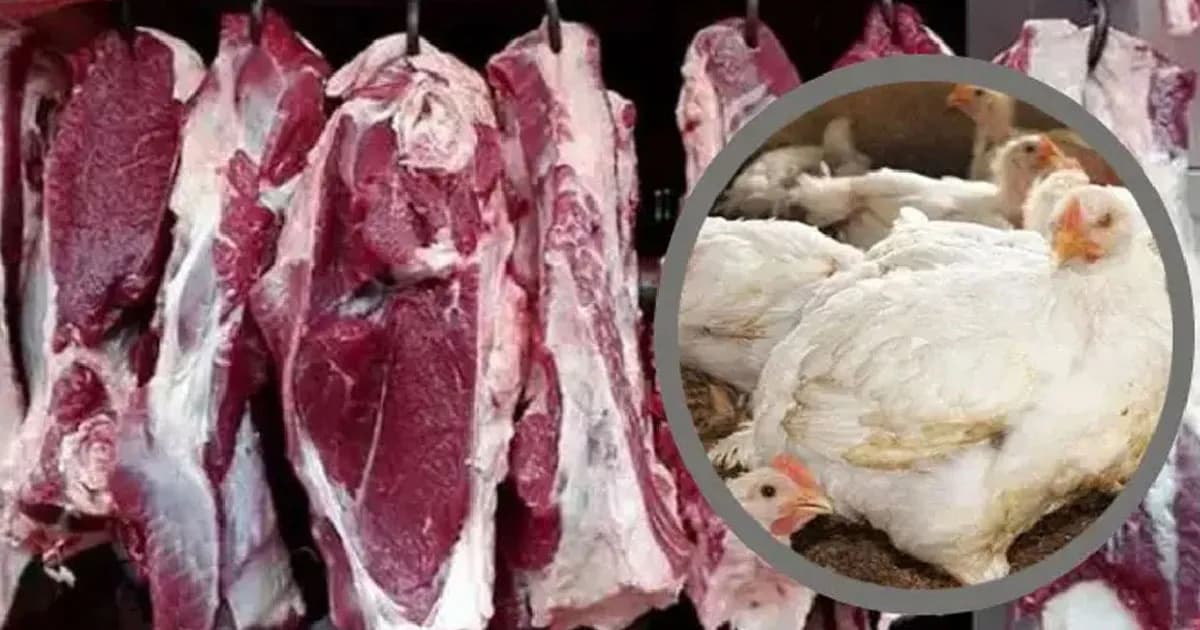 লাগামহীন মাংসের দাম : গরু ৮৫০, ব্রয়লার ২৩০ টাকা