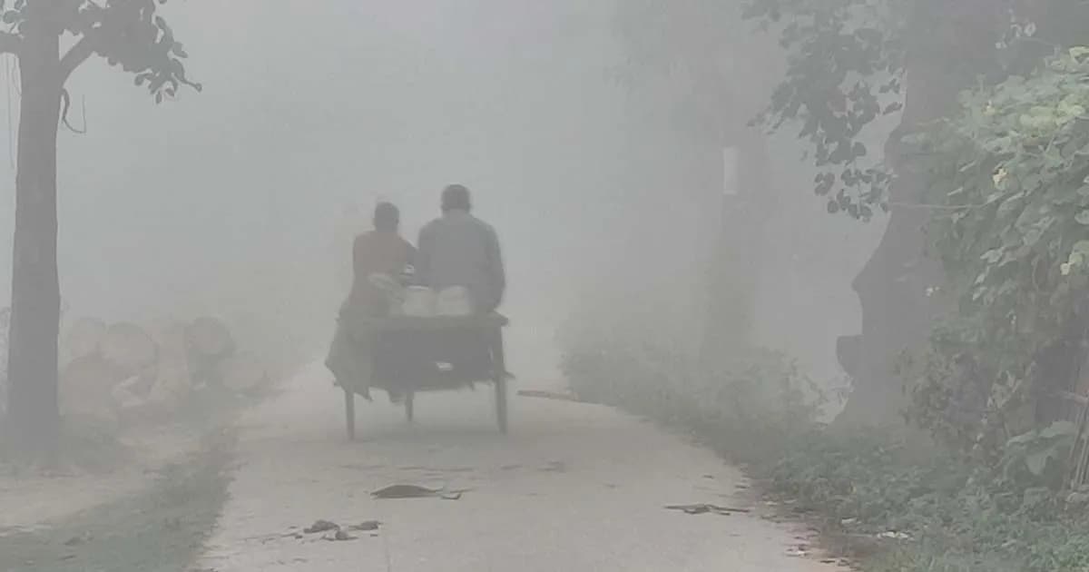 শীত নিয়ে যে বার্তা দিল আবহাওয়া অফিস