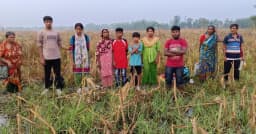 সীমান্তে ৩৩ জনকে পুশইনের চেষ্টা ব্যর্থ, ফিরিয়ে নিল বিএসএফ