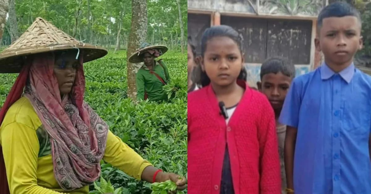 শিক্ষার অধিকার থেকে বঞ্চিত চুনারুঘাটে চা শ্রমিক সন্তানরা