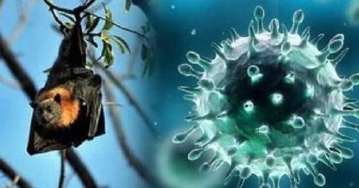 দেশে নতুন প্রাণঘাতী ভাইরাস শনাক্ত, বিজ্ঞানীদের সতর্কবার্তা