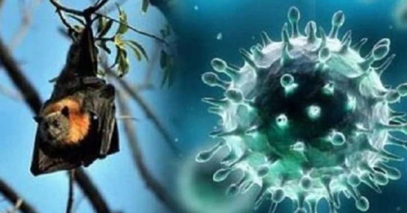 দেশে নতুন প্রাণঘাতী ভাইরাস শনাক্ত, বিজ্ঞানীদের সতর্কবার্তা