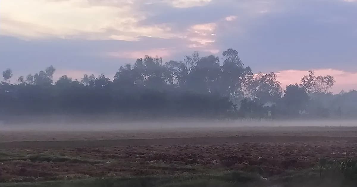 পঞ্চগড়ে হিমেল হাওয়ায় বাড়ছে শীতের চাপ, তাপমাত্রা ১৪.৭ ডিগ্রি