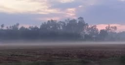 পঞ্চগড়ে হিমেল হাওয়ায় বাড়ছে শীতের চাপ, তাপমাত্রা ১৪.৭ ডিগ্রি