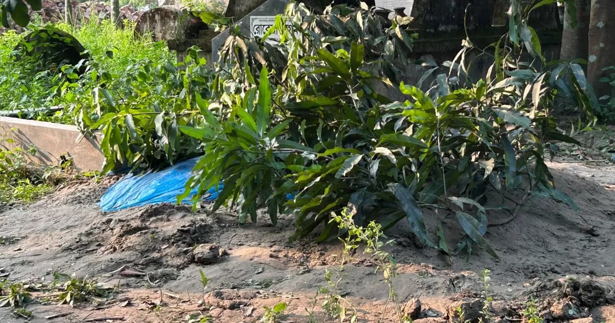 বাকেরগঞ্জে একই বাড়িতে দুই শিশুর মর্মান্তিক মৃত্যু, শোকে স্তব্ধ পরিবার