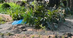 বাকেরগঞ্জে একই বাড়িতে দুই শিশুর মর্মান্তিক মৃত্যু, শোকে স্তব্ধ পরিবার