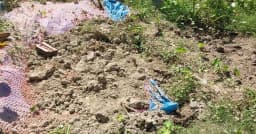 সিরাজগঞ্জে কবরস্থান থেকে ১৬ কঙ্কাল চুরি
