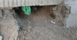 কয়রায় ঘরে ঢুকে ব্যবসায়ীকে কুপিয়ে হত্যা
