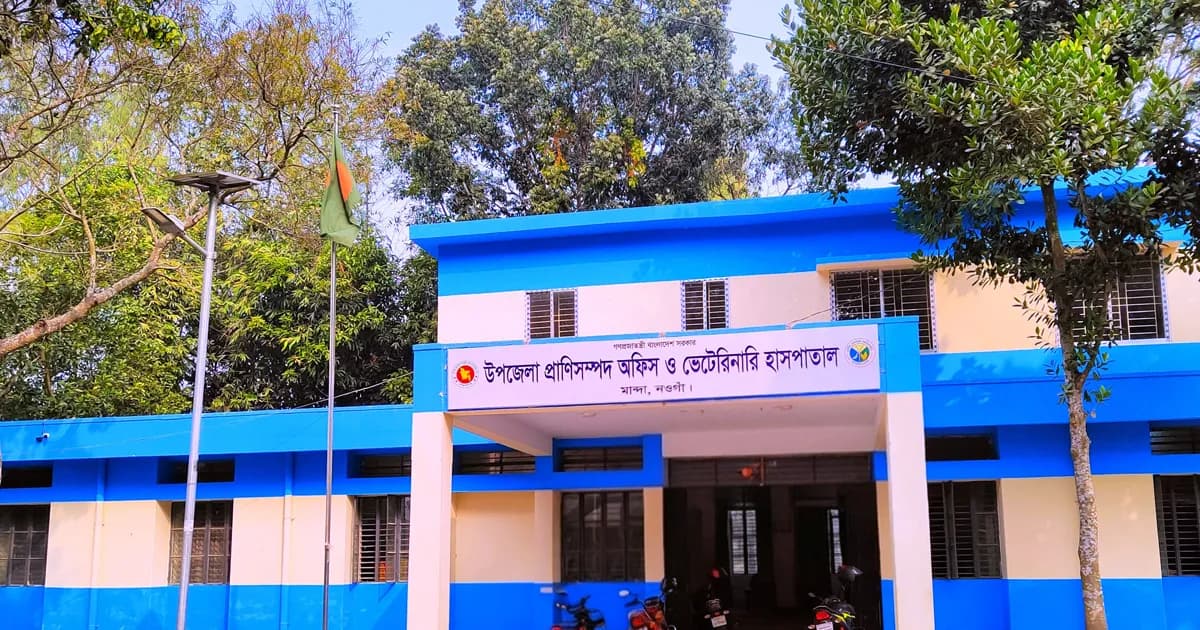 সাপাহারে সড়কের বেহাল দশা, দখল-আবর্জনায় বাড়ছে জনদুর্ভোগ