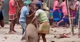 টিকটক ও ফ্রি ফায়ার নিয়ে সংঘর্ষে রণক্ষেত্র দুই গ্রাম, আহত ৫