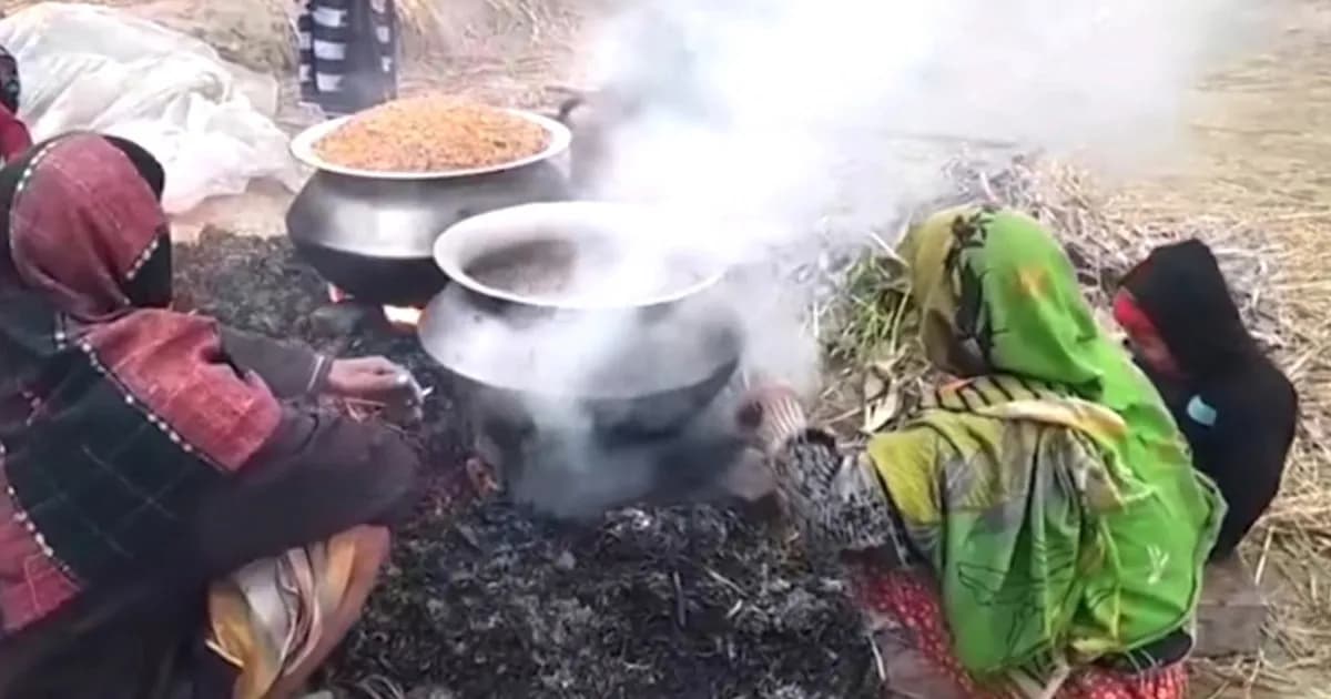 ঘন কুয়াশায় ব্যাহত ব্রাহ্মণপাড়ায় ধান শুকানো, দুশ্চিন্তায় কৃষকরা