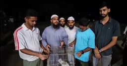 নেত্রকোণায় লোকালয়ে লজ্জাবতী বানর, গারো পাহাড়ের বনে অবমুক্ত