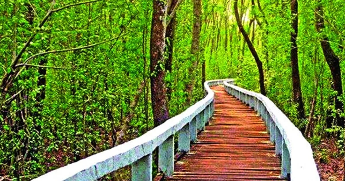 ঈদের ছুটিতে পর্যটকদের অপেক্ষায় সুন্দরবন