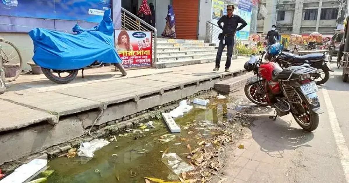 ড্রেনেজ সংকটে জলাবদ্ধতাসহ মশা-মাছির উপদ্রবে অতিষ্ঠ নগরবাসী