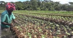 পানিতেই ভাগ্য বদল, ৬ মাসে ১০ কোটি টাকার বাণিজ্য