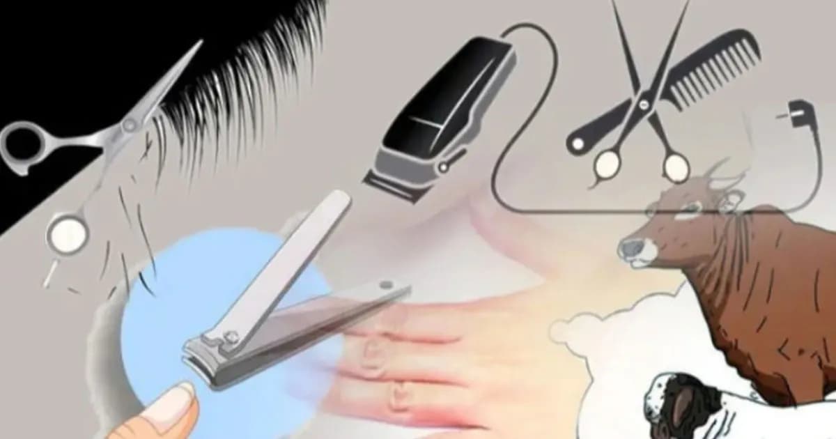 কুরবানির আগে চুল-নখ না কাটার বিধান কী?