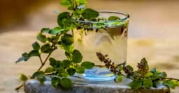 তুলসী পানির কিছু আশ্চর্যজনক উপকারিতা