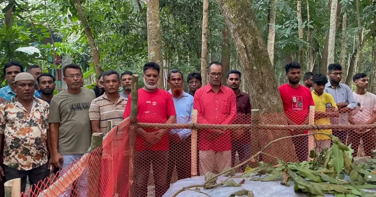 গুঠিয়ায় দুই বিএনপি নেতার কবর জিয়ারত করলেন শাহীন হাওলাদার