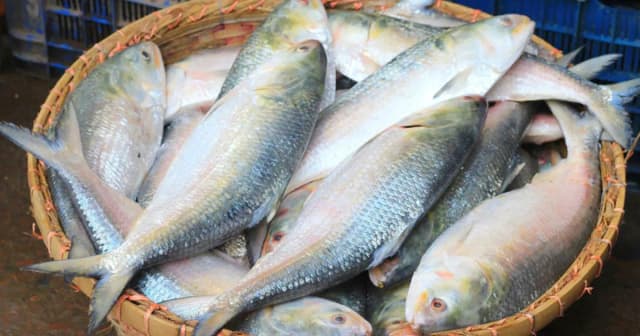 কলকাতার বাজারে বাংলাদেশের ইলিশ, দাম কত?