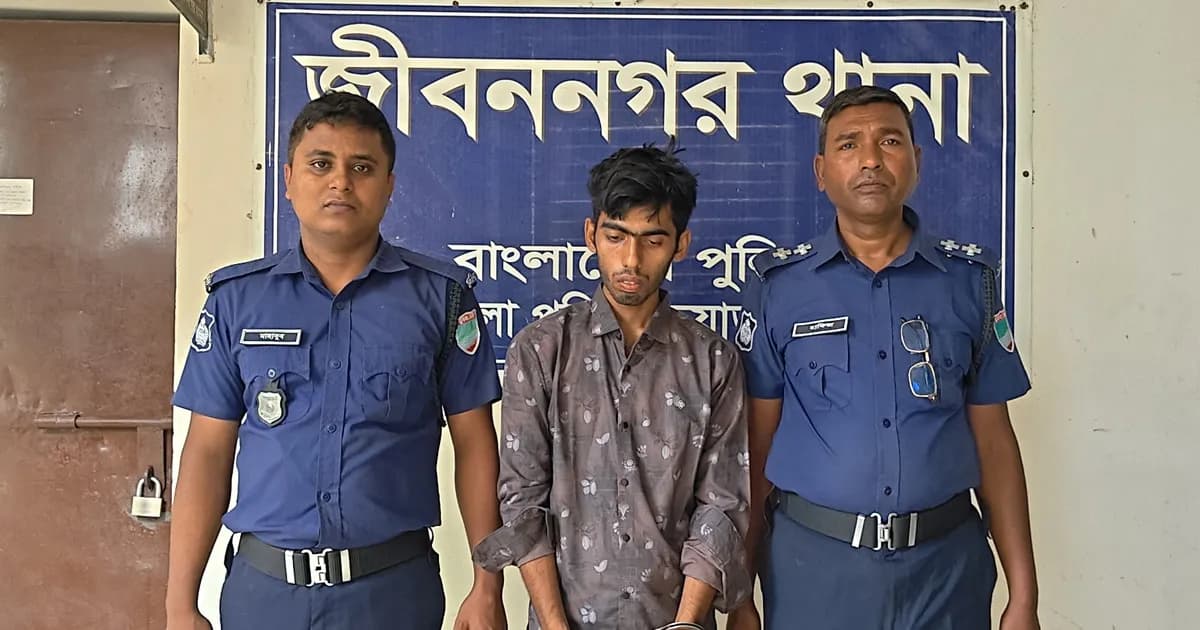 জীবননগরে নববধূকে হত্যাচেষ্টার অভিযোগ, স্বামী আটক