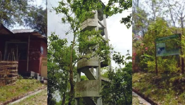 ঝুকিপূর্ণ রেমা কালেঙ্গা ওয়াচটাওয়ার, আতঙ্কে পর্যটকরা