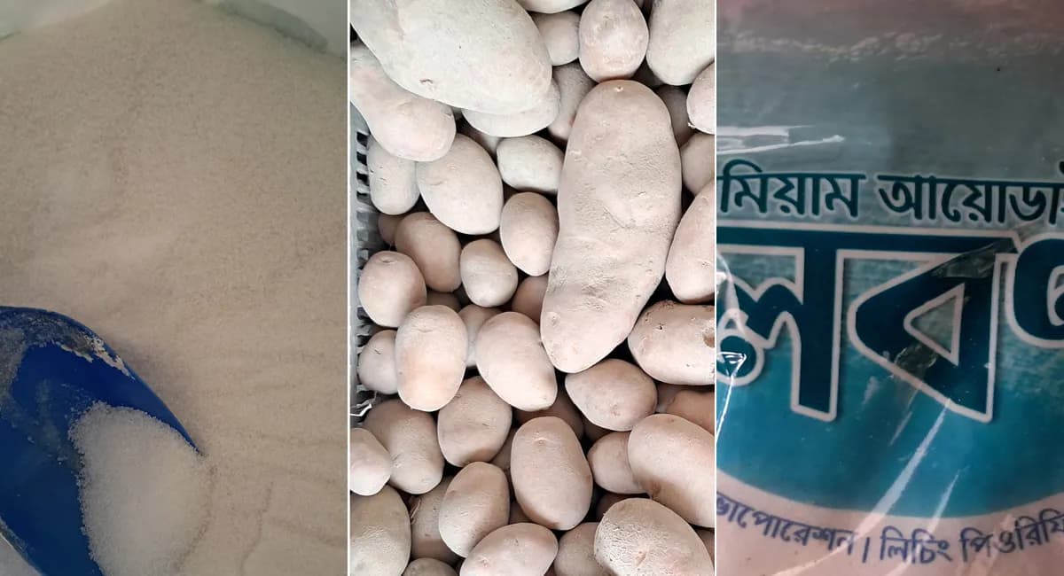 জাটকা ধরা থেকে বিরত সাড়ে ৮ হাজার জেলের জন্য বিশেষ খাদ্য সহায়তা