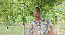 বিদেশফেরত যুবকের আঙুর বাগানে সফলতার স্বপ্ন, জীবননগরে নতুন সম্ভাবনা