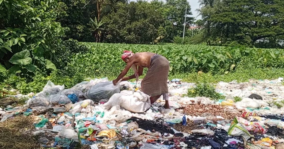 গোসাইরহাটে রাস্তার পাশে ময়লার ভাগাড়, দুর্ভোগে হাজারো মানুষ