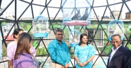 জেলা প্রশাসকের কার্যালয়ের ছাদে পাখিদের ঠিকানা ‘আকাশ নীড়’