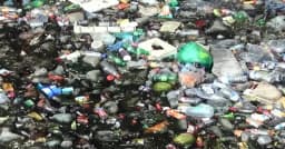 দুইশ’ কোটি টাকার খাল এখন ময়লা ও মশার উৎপাতের কেন্দ্রবিন্দু