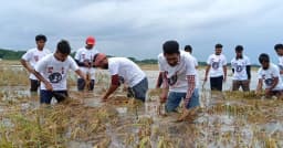 নেত্রকোণায় তলিয়ে যাওয়া ধান কেটে দিলেন ছাত্রলীগের সাবেক নেতা