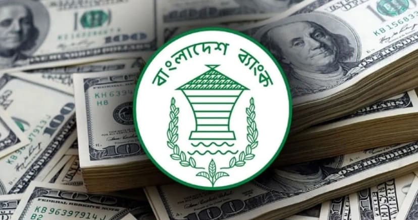 জুলাইয়ের ১২ দিনেই দেশে এলো ১৩২ কোটি ডলার রেমিট্যান্স