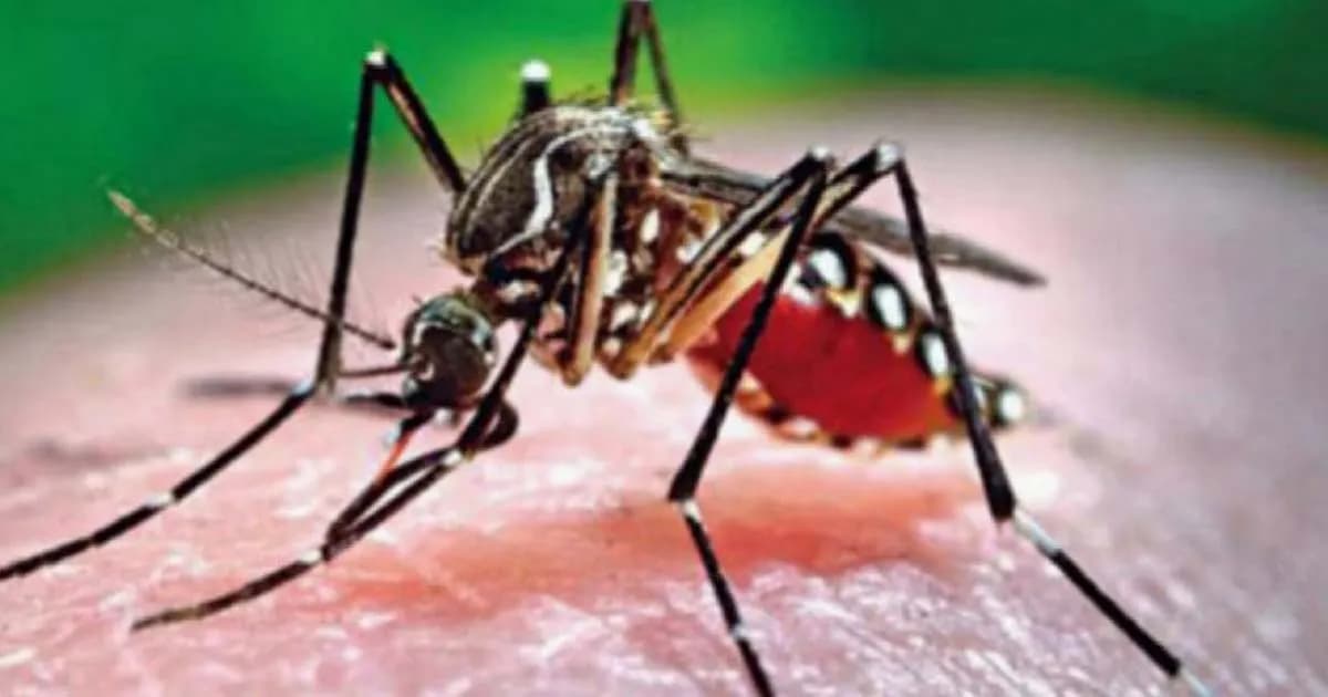 ২৪ ঘণ্টায় ডেঙ্গুতে আরও ১০ জনের মৃত্যু