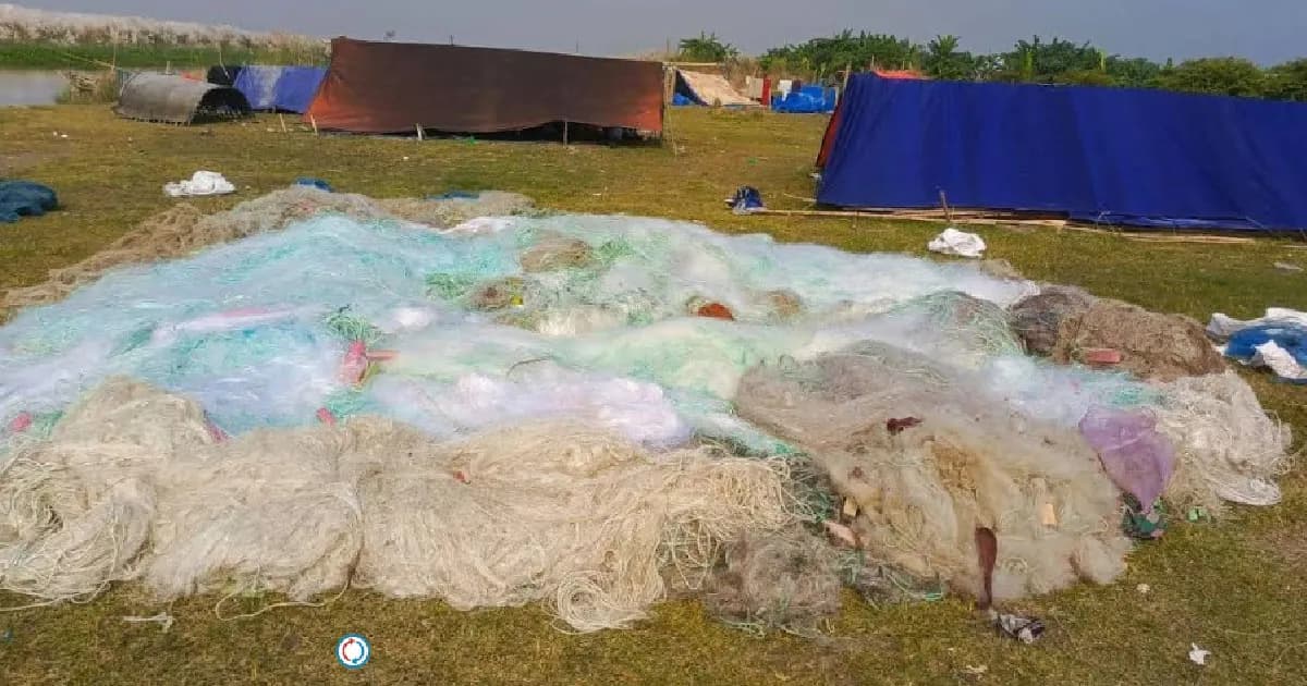 শ্রীনগরে পদ্মার চরে অভিযানে মা ইলিশ ও জাল জব্দ