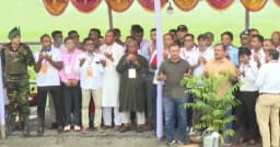 পাঁচ বছরে ২৫ কোটি গাছ লাগানো হবে: প্রধানমন্ত্রী
