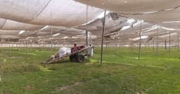 জুবায়েরপন্থিদের টঙ্গী ময়দানের প্যান্ডেল খুলে ফেলা হচ্ছে