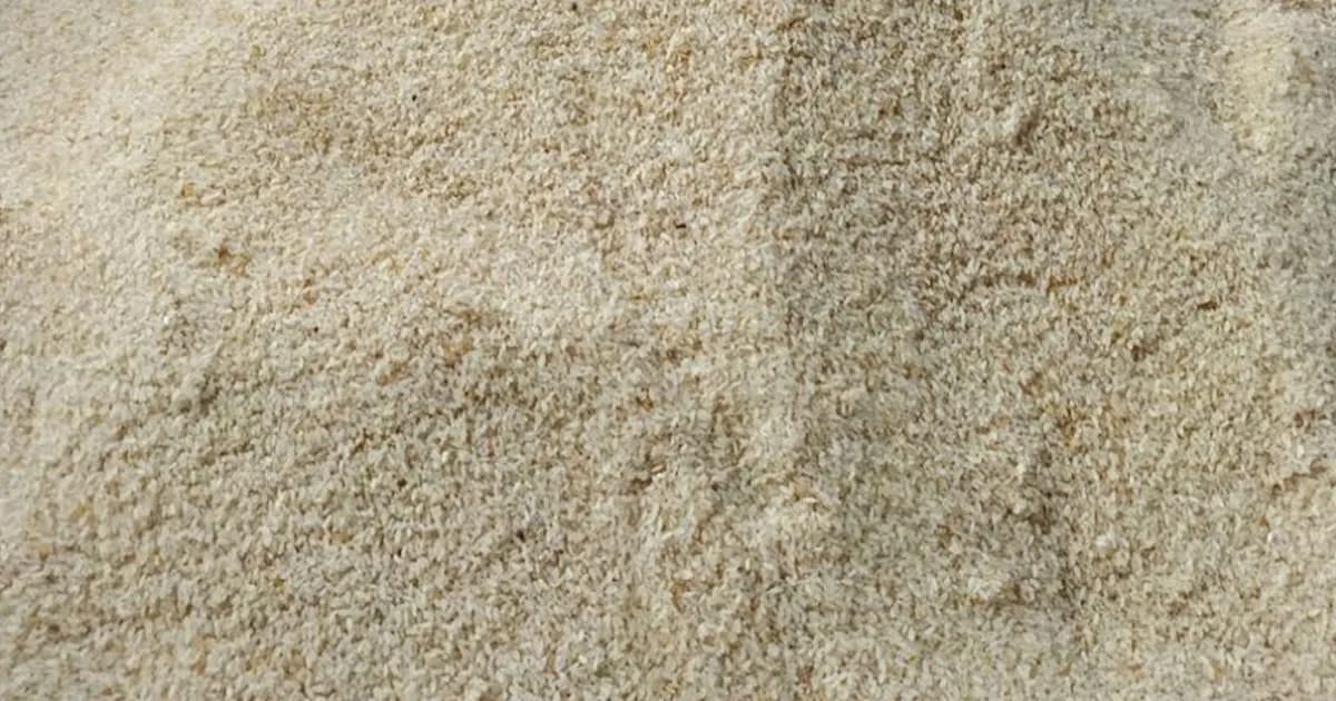 দর্শনায় টিসিবির নিম্নমানের চাল বিতরণের অভিযোগ