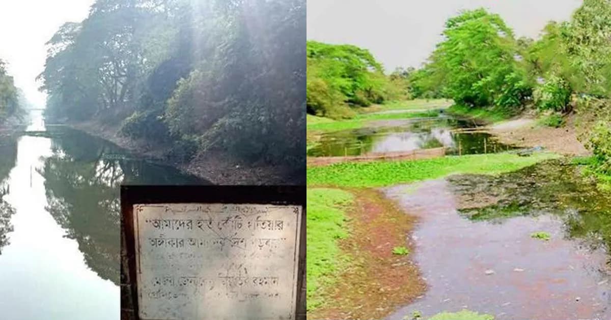 জিয়ার পথেই তারেক রহমান, উলাশি খালে ফিরছে প্রাণ