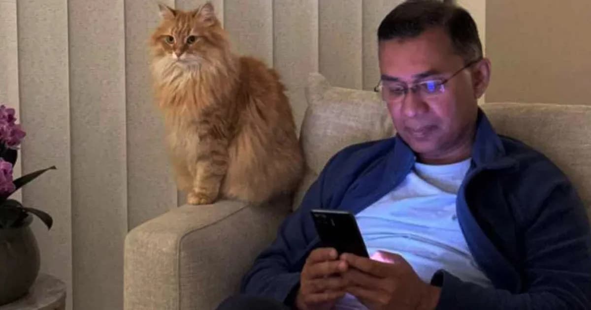 তারেক রহমানের সঙ্গে দেশে ফিরছে আদরের বিড়াল ‘জেবু’