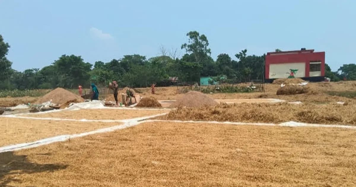 ঋণের চাপে দিশেহারা কৃষক, ঘরবাড়ি ছাড়ছেন অনেকেই