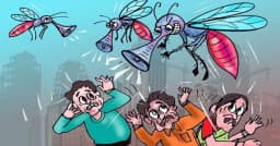 দেশজুড়ে ডেঙ্গুর থাবা, আক্রান্তের সংখ্যা ৭০ হাজার ছাড়াল