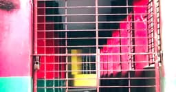 নোয়াখালীতে ২৪৩ স্কুলে পরীক্ষা বন্ধ, সব শিক্ষককে শোকজ