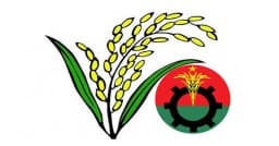 বিএনপির ধানের শীষকে সমর্থন দিলেন  ইসলামী দলের নেতারা