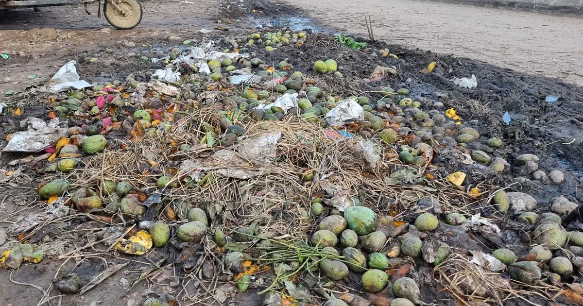 পচা আমের দুর্গন্ধে নাকাল সাপাহার বাজার, বাড়ছে স্বাস্থ্যঝুঁকি