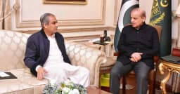 টি-টোয়েন্টি বিশ্বকাপ বয়কট করছে না পাকিস্তান