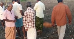 হত্যার পর মাটিতে পড়ে মা, নিথর দেহের ওপর বসে কাঁদছিল ২ বছরের শিশু