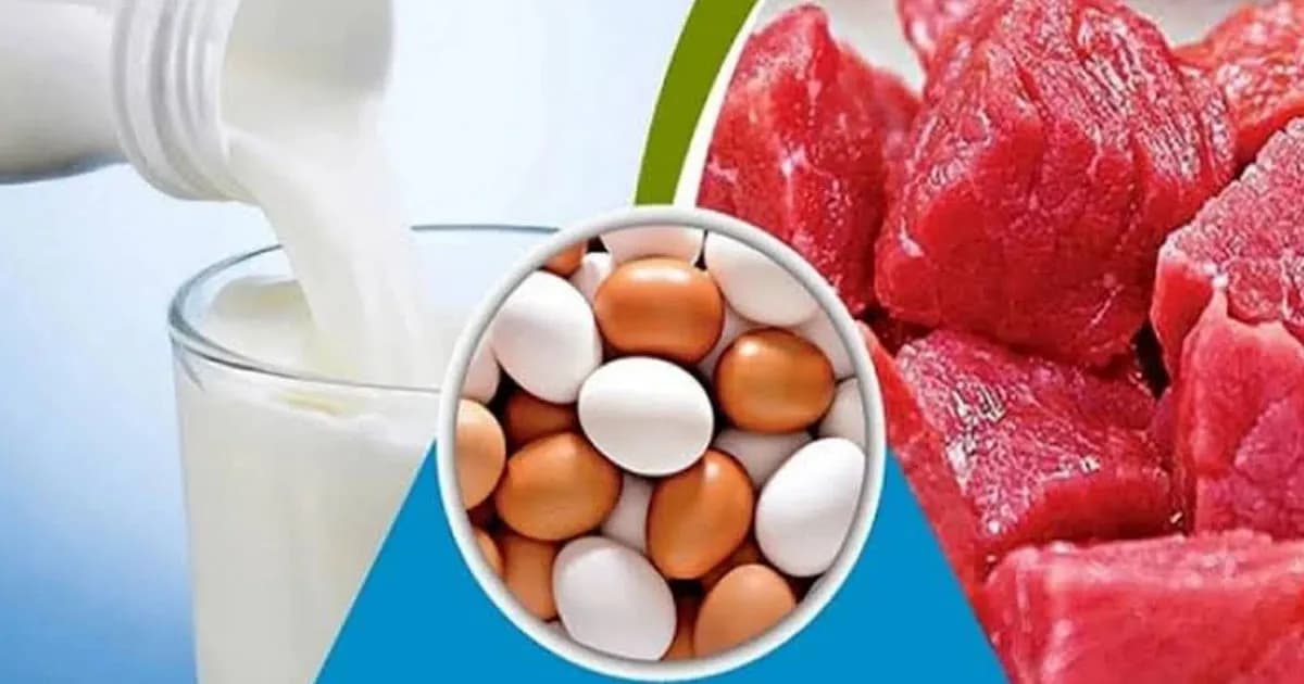 এবছরও রমজানে সূলভমূল্যে দুধ-ডিম ও মাংস বিক্রি করবে সরকার