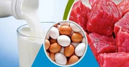 এবছরও রমজানে সূলভমূল্যে দুধ-ডিম ও মাংস বিক্রি করবে সরকার