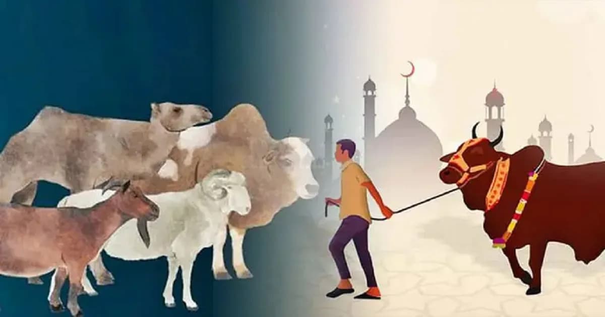 ঈদুল আজহার তারিখ ঘোষণা করল কাতার